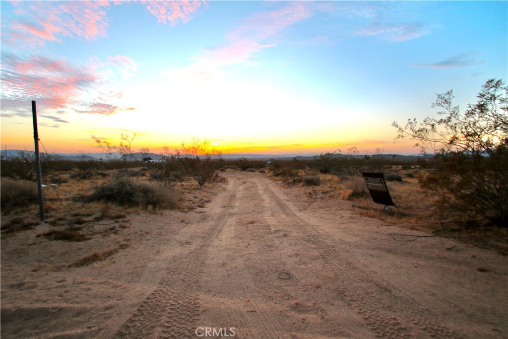 MLS #JT25109103 image #8