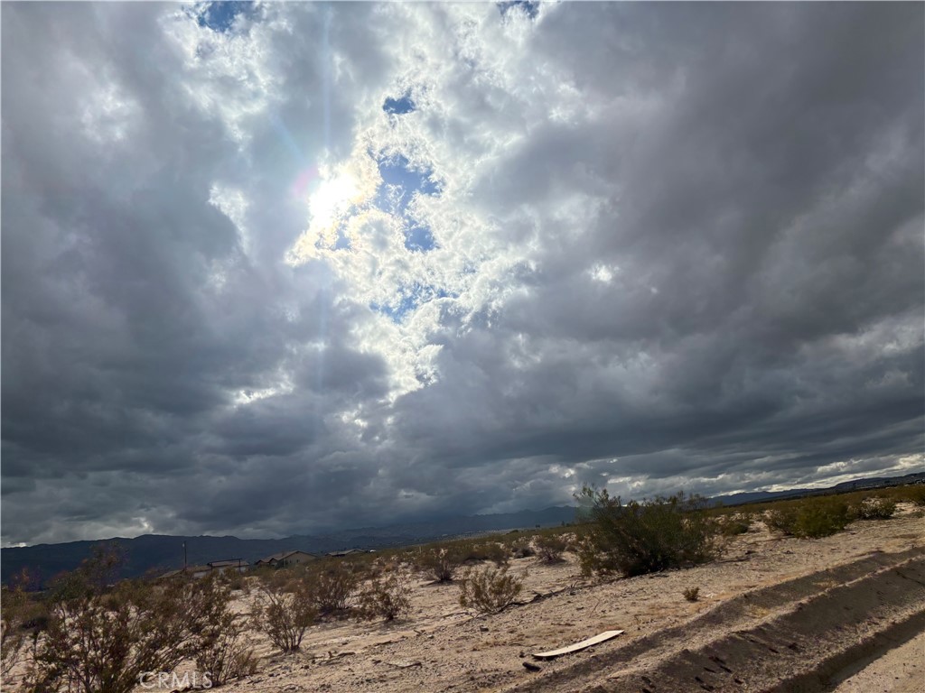 MLS #JT25110471 image #20