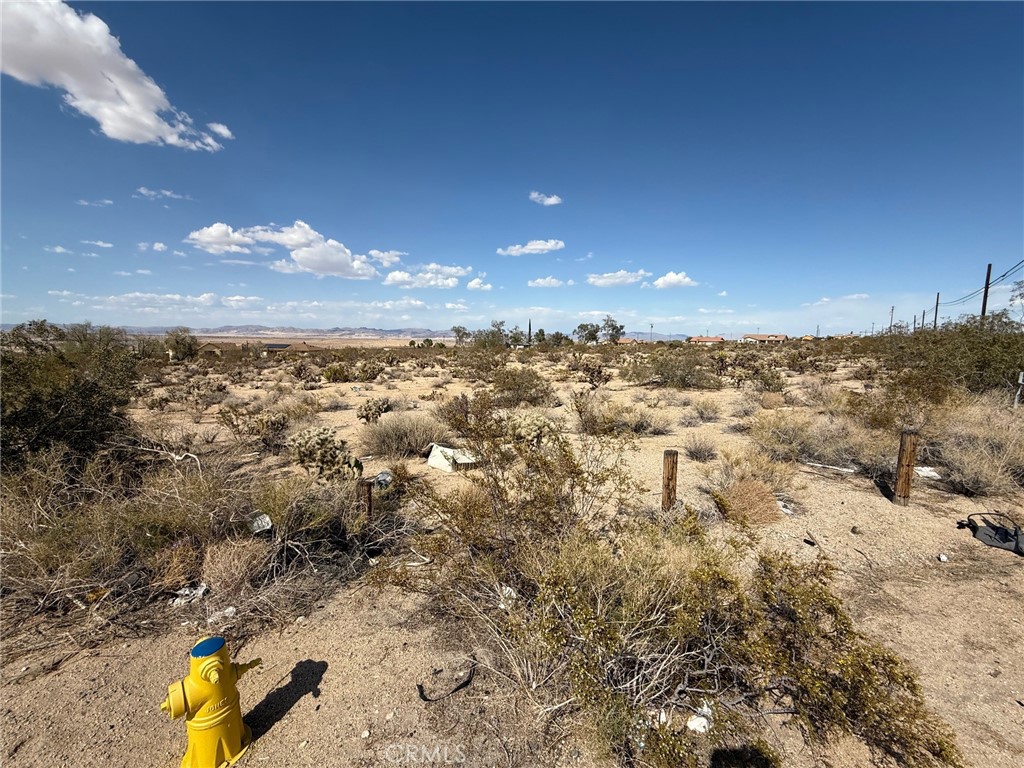 MLS #JT25110555 image #1