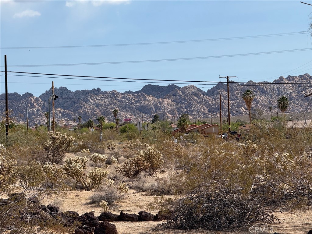 MLS #JT25110555 image #3