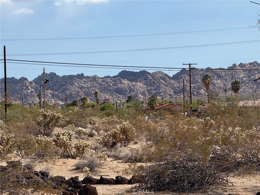 MLS #JT25110566 image #1