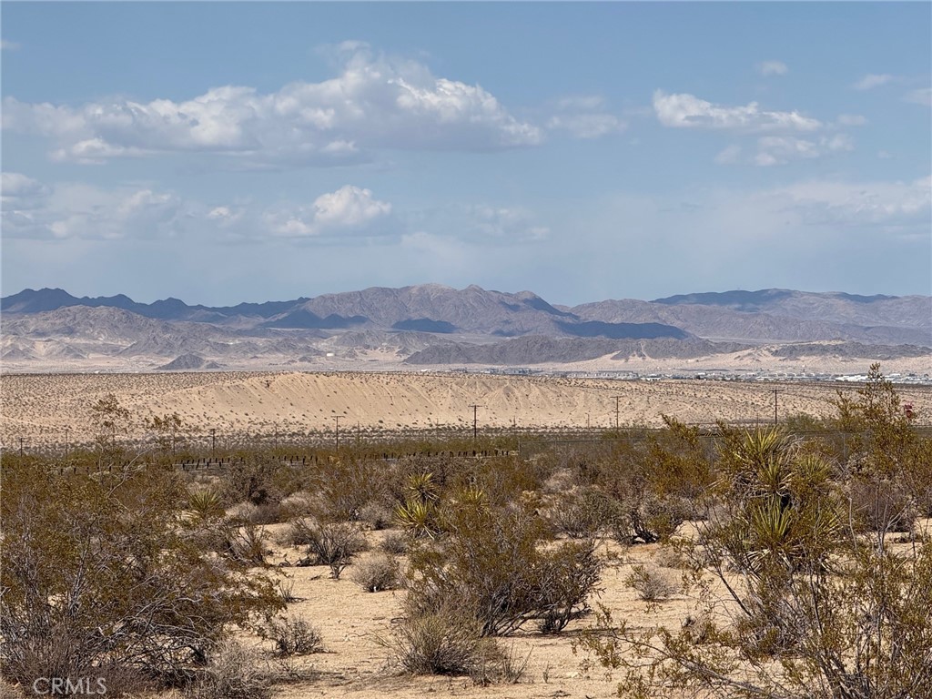 MLS #JT25110566 image #2