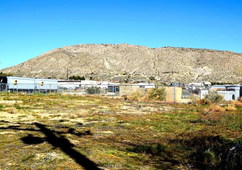 MLS #JT25111209 image #4