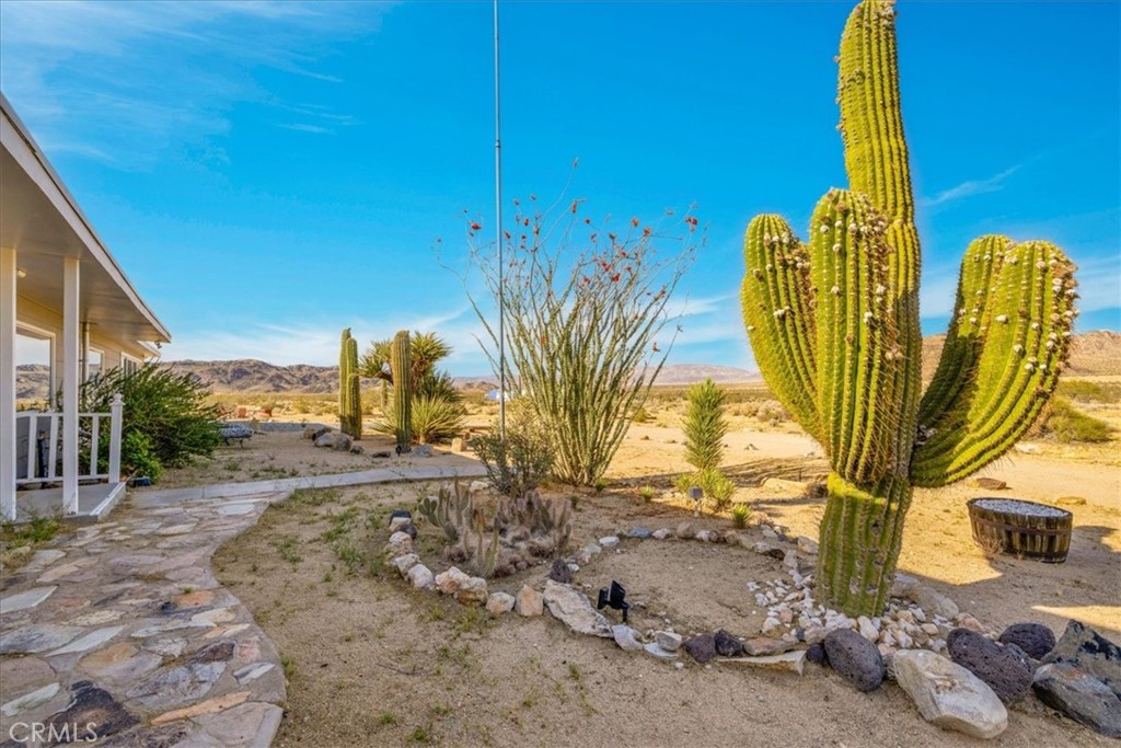 MLS #JT25112705 image #31