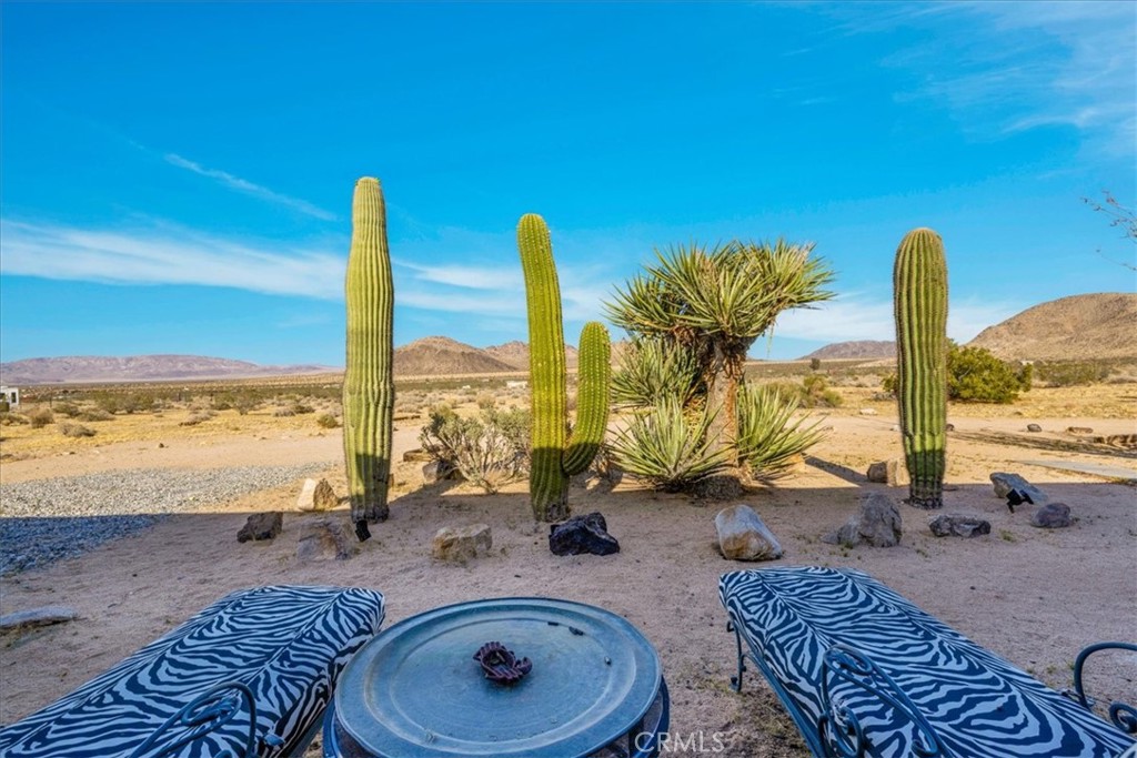 MLS #JT25112705 image #37