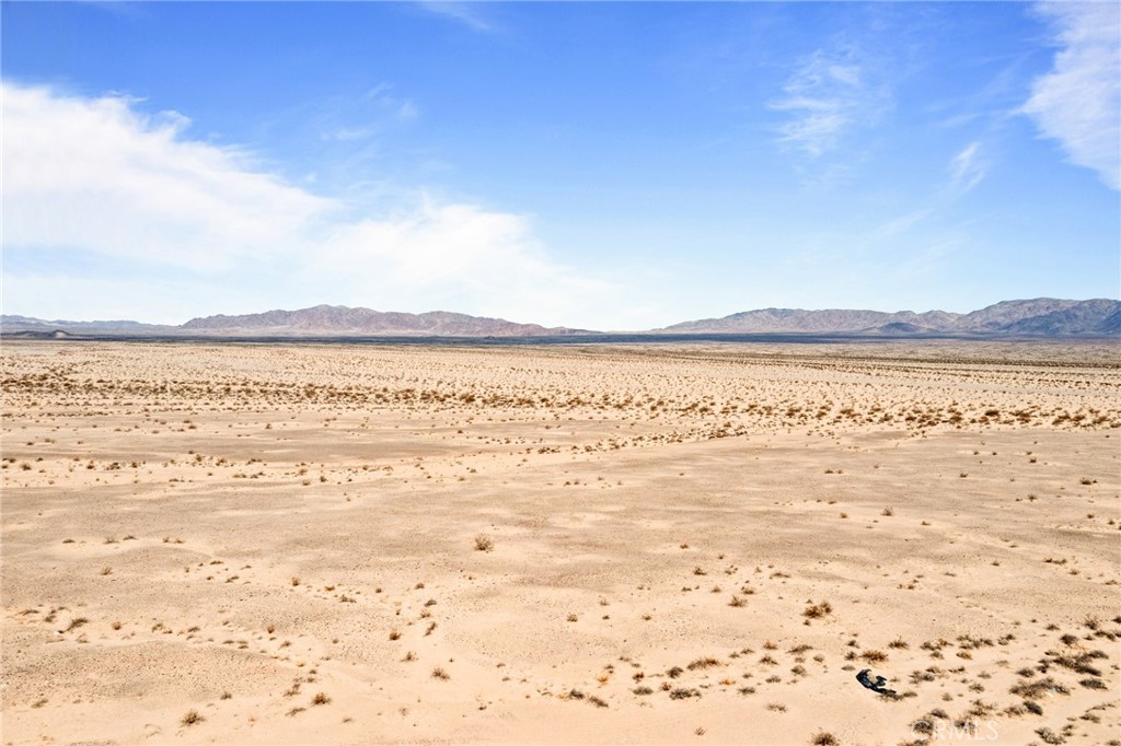 MLS #JT25112903 image #4