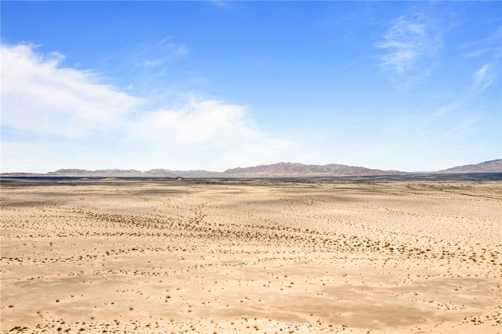 MLS #JT25112903 image #6