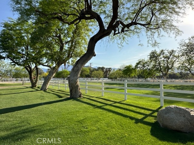 MLS #JT25114859 image #3