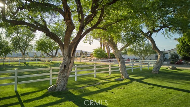 MLS #JT25114859 image #4