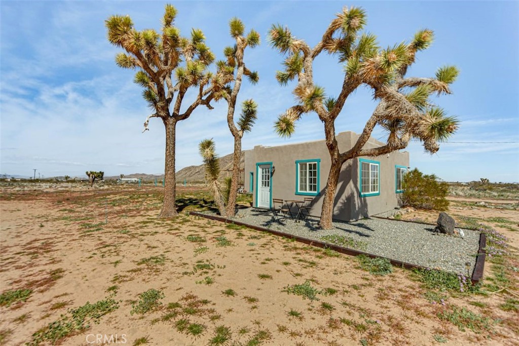 MLS #JT25115319 image #5