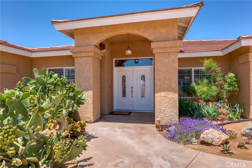 MLS #JT25115342 image #72