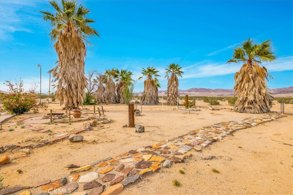 MLS #JT25118643 image #26