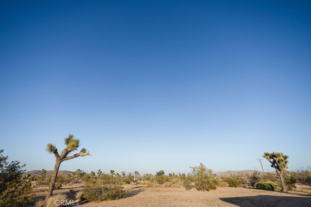 MLS #JT25119782 image #3