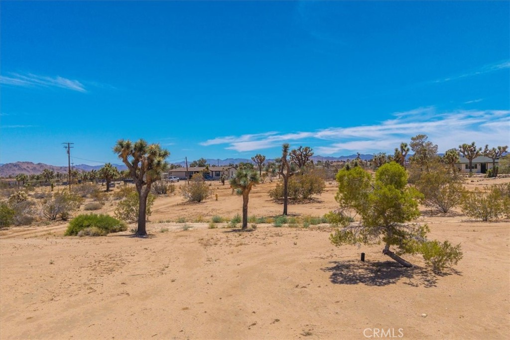 MLS #JT25119782 image #30