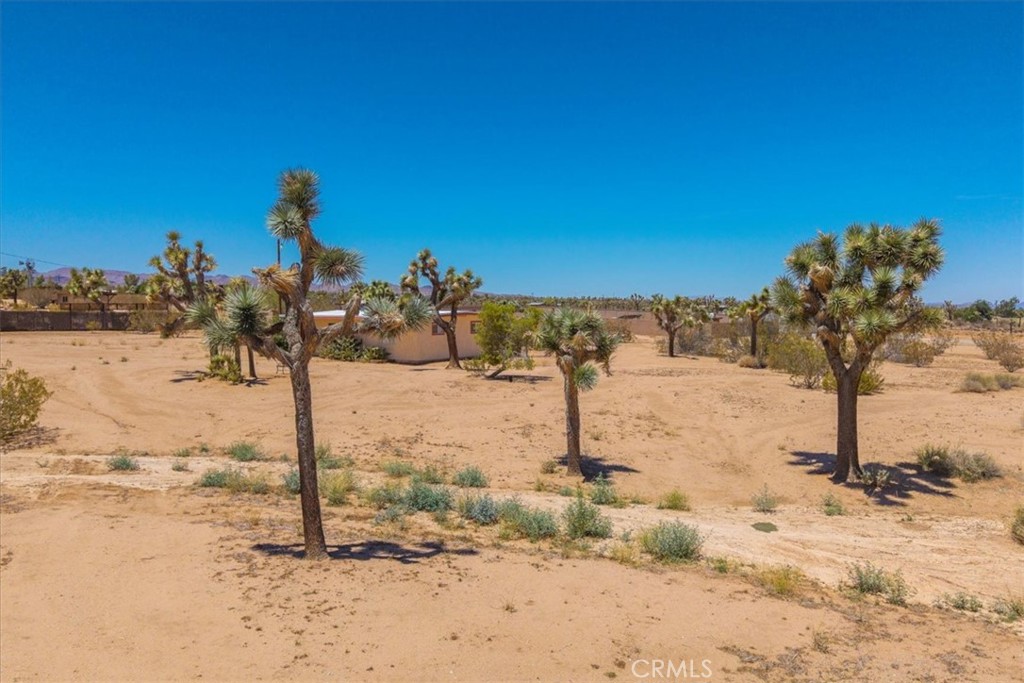 MLS #JT25119782 image #32