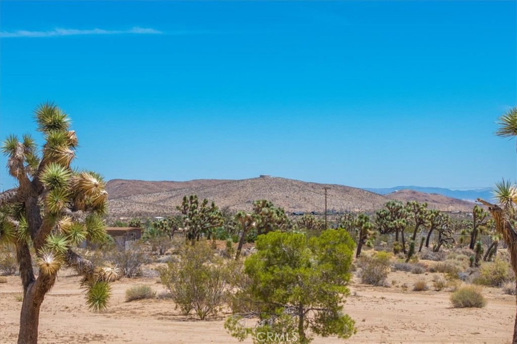 MLS #JT25119782 image #33