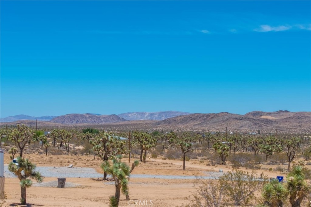 MLS #JT25119782 image #34