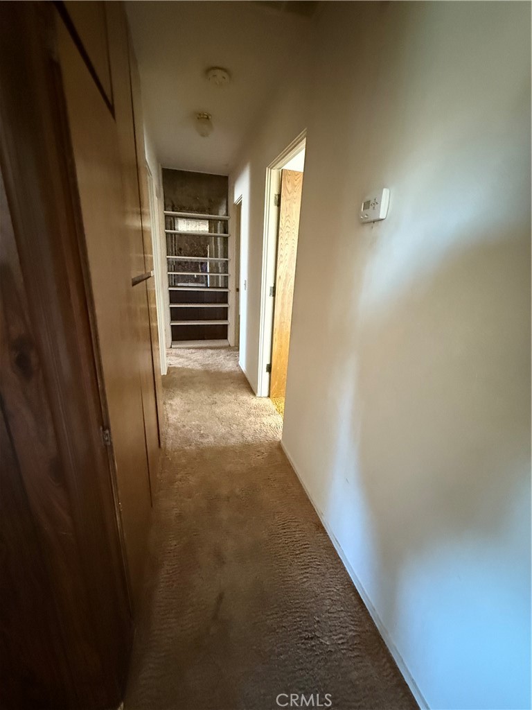 MLS #JT25120051 image #15