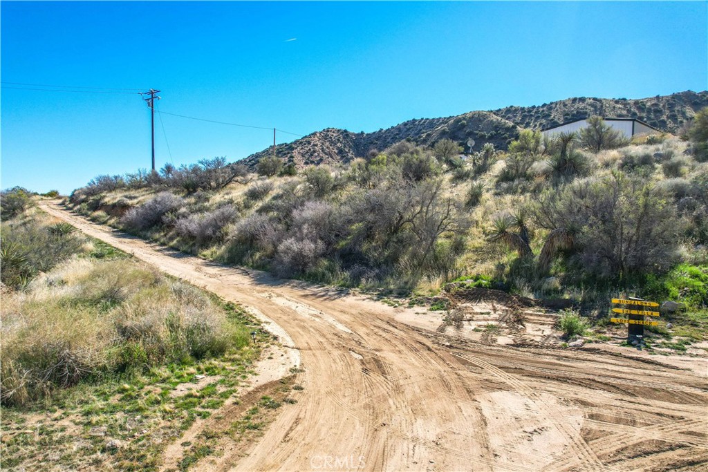 MLS #JT25125067 image #66