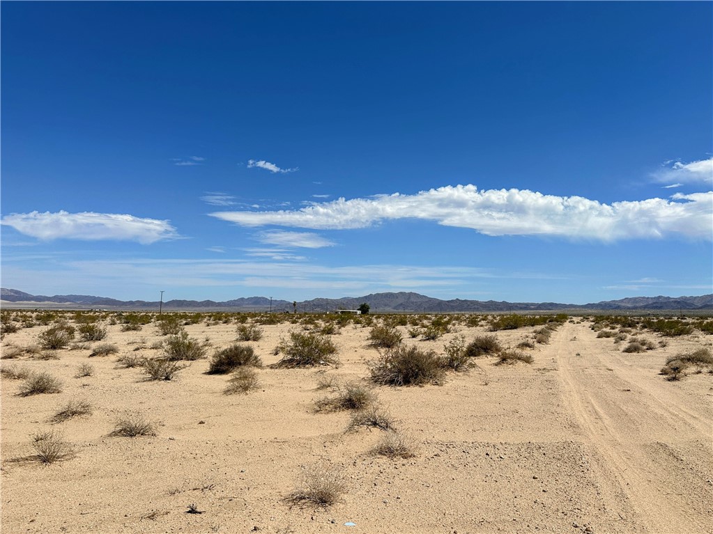 MLS #JT25125768 image #3