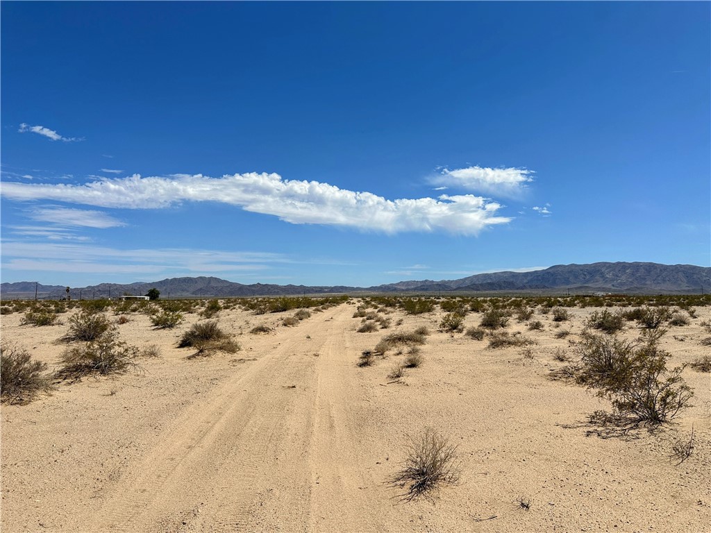 MLS #JT25125772 image #3