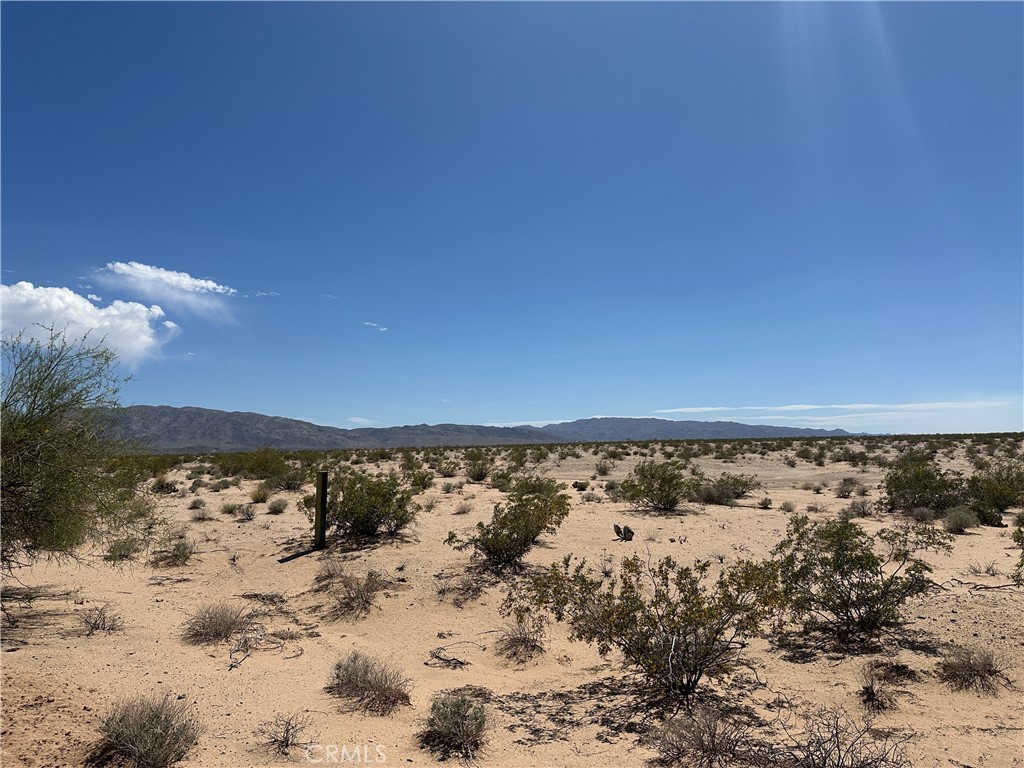 MLS #JT25125828 image #2