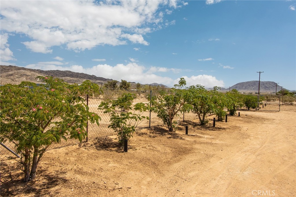 MLS #JT25126386 image #10