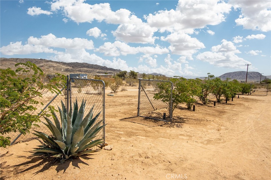 MLS #JT25126386 image #11