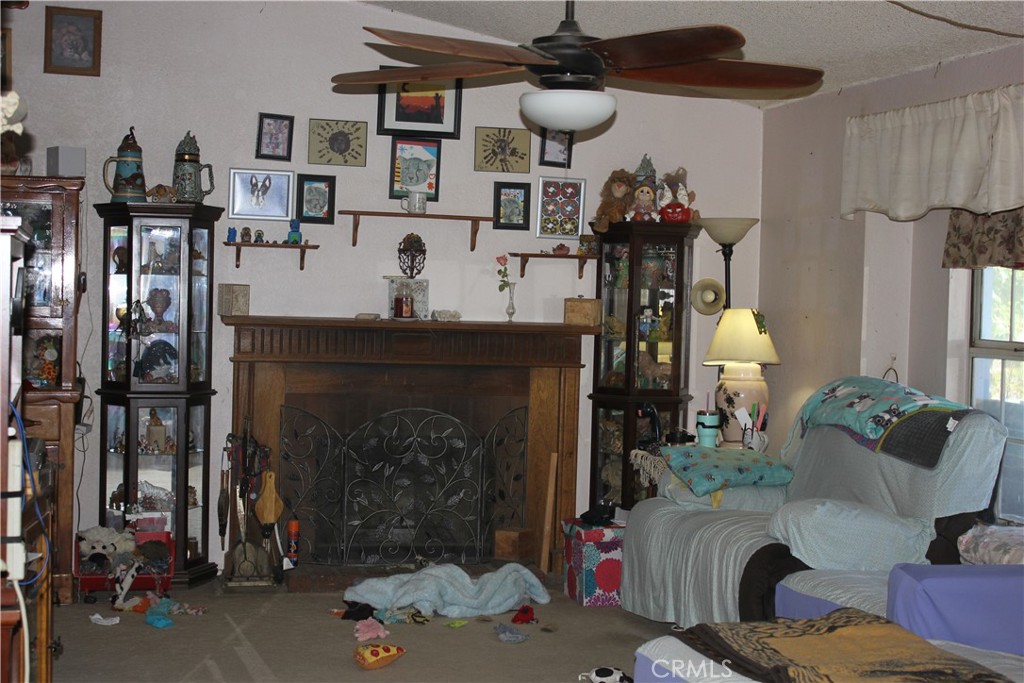 MLS #JT25127239 image #14