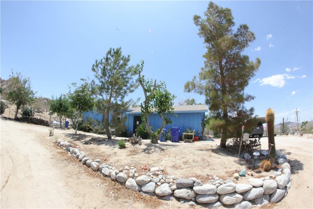 MLS #JT25127239 image #41