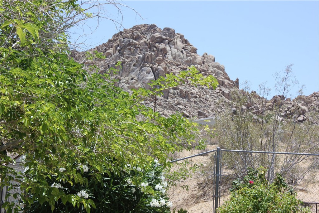 MLS #JT25127239 image #42