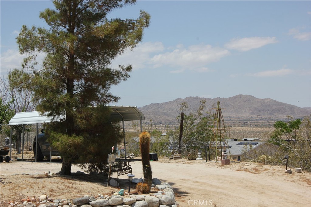 MLS #JT25127239 image #43