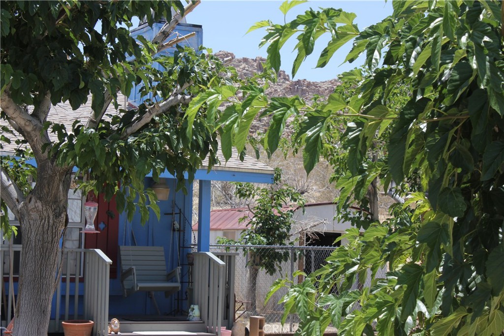 MLS #JT25127239 image #44