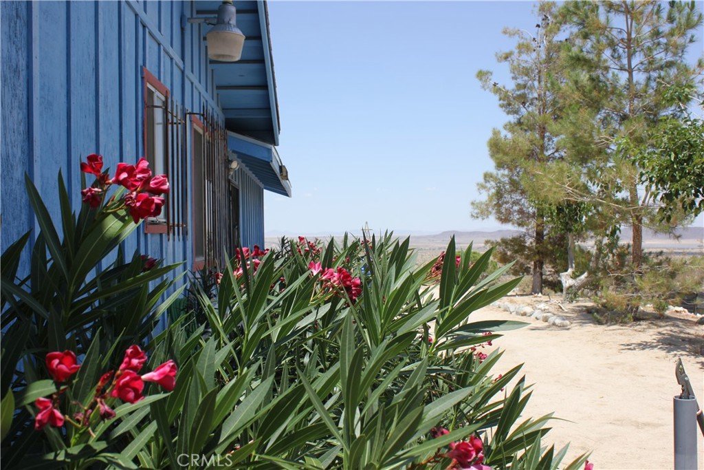 MLS #JT25127239 image #45