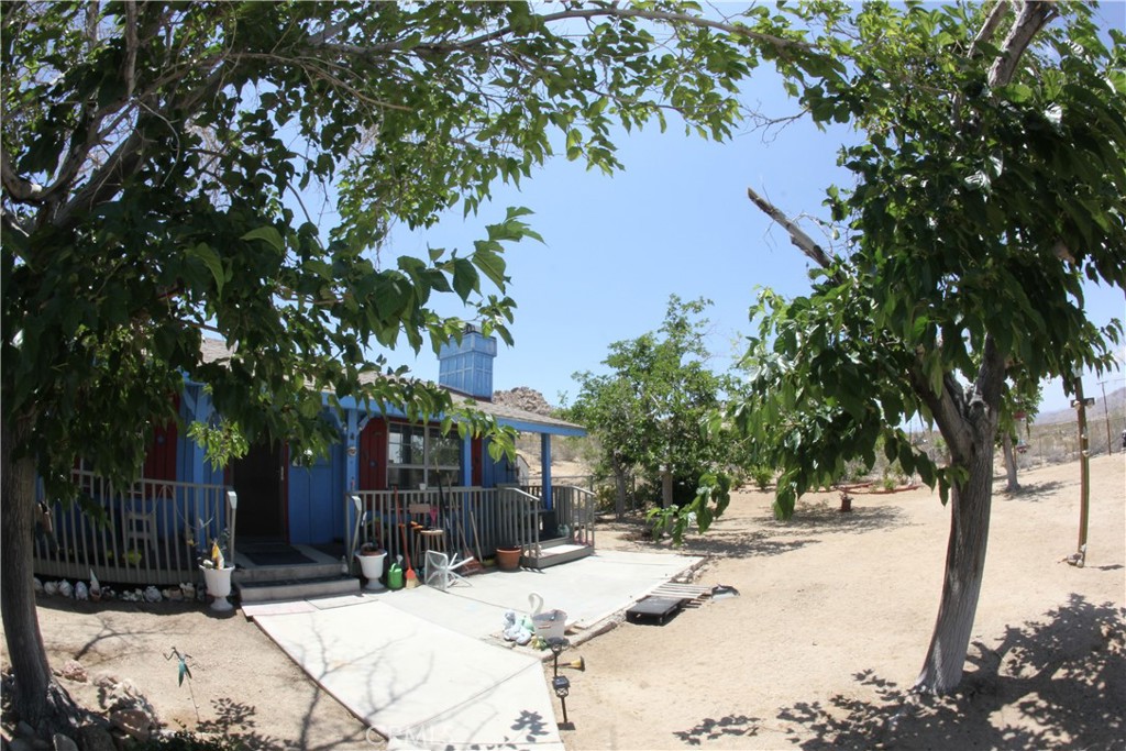 MLS #JT25127239 image #46