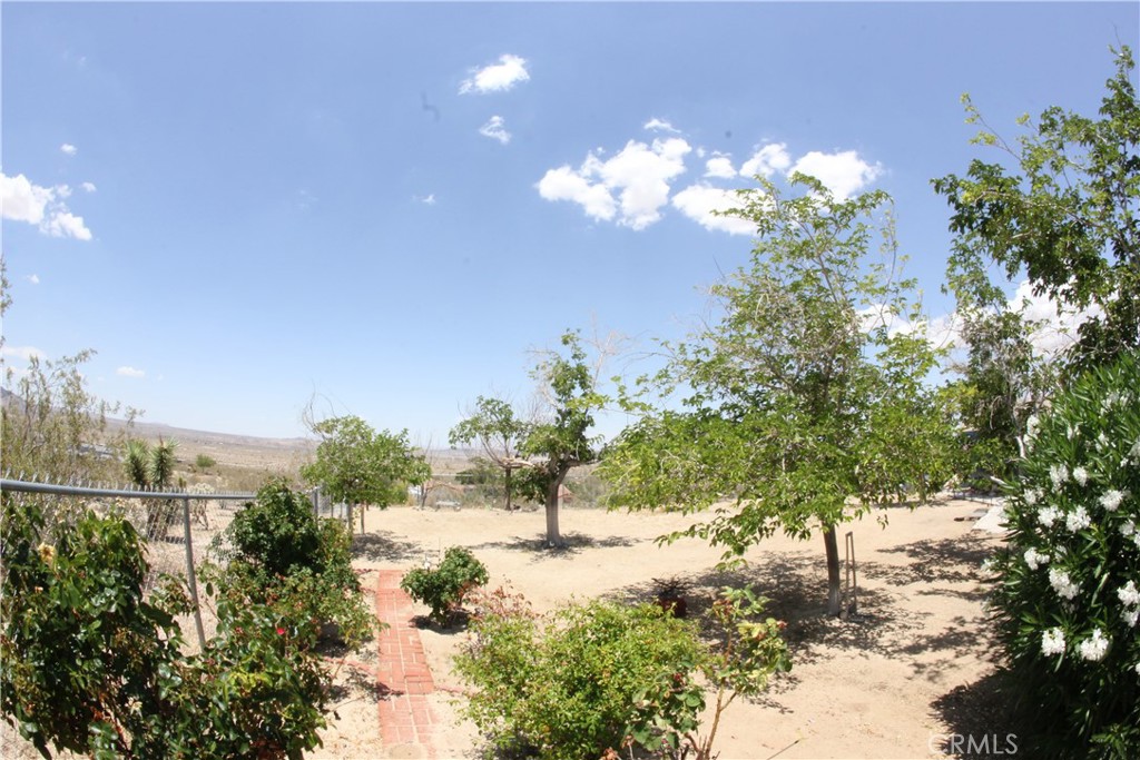 MLS #JT25127239 image #49