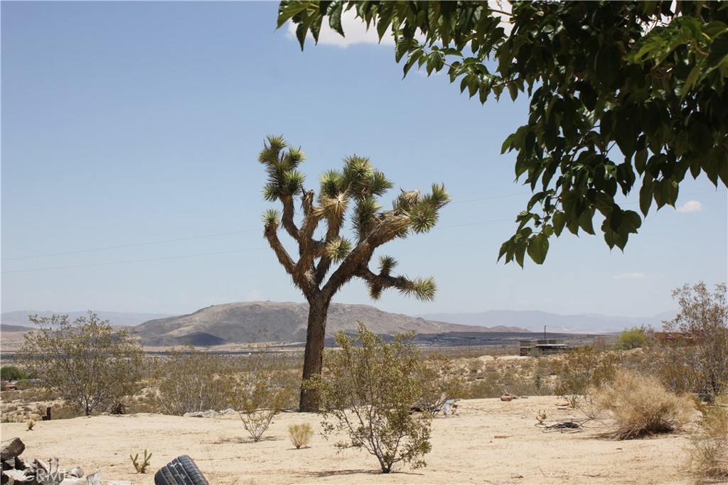 MLS #JT25127239 image #50