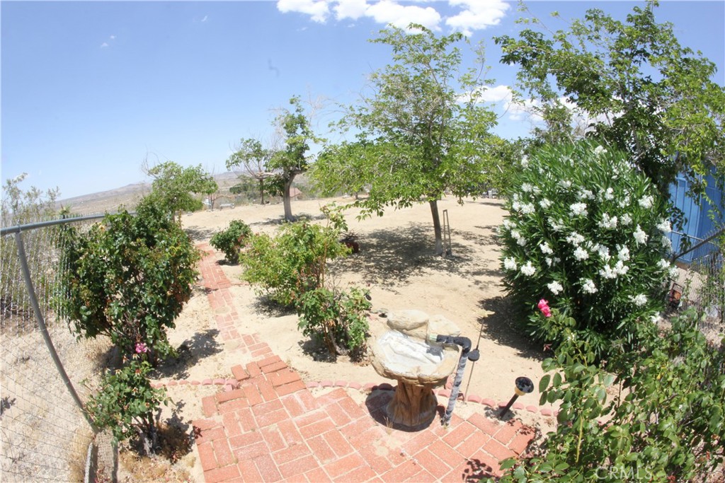 MLS #JT25127239 image #54