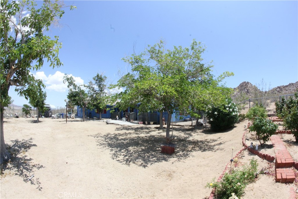 MLS #JT25127239 image #59