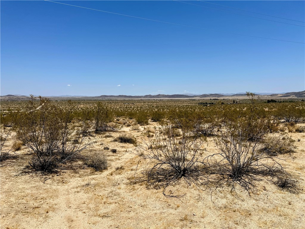 MLS #JT25127451 image #7