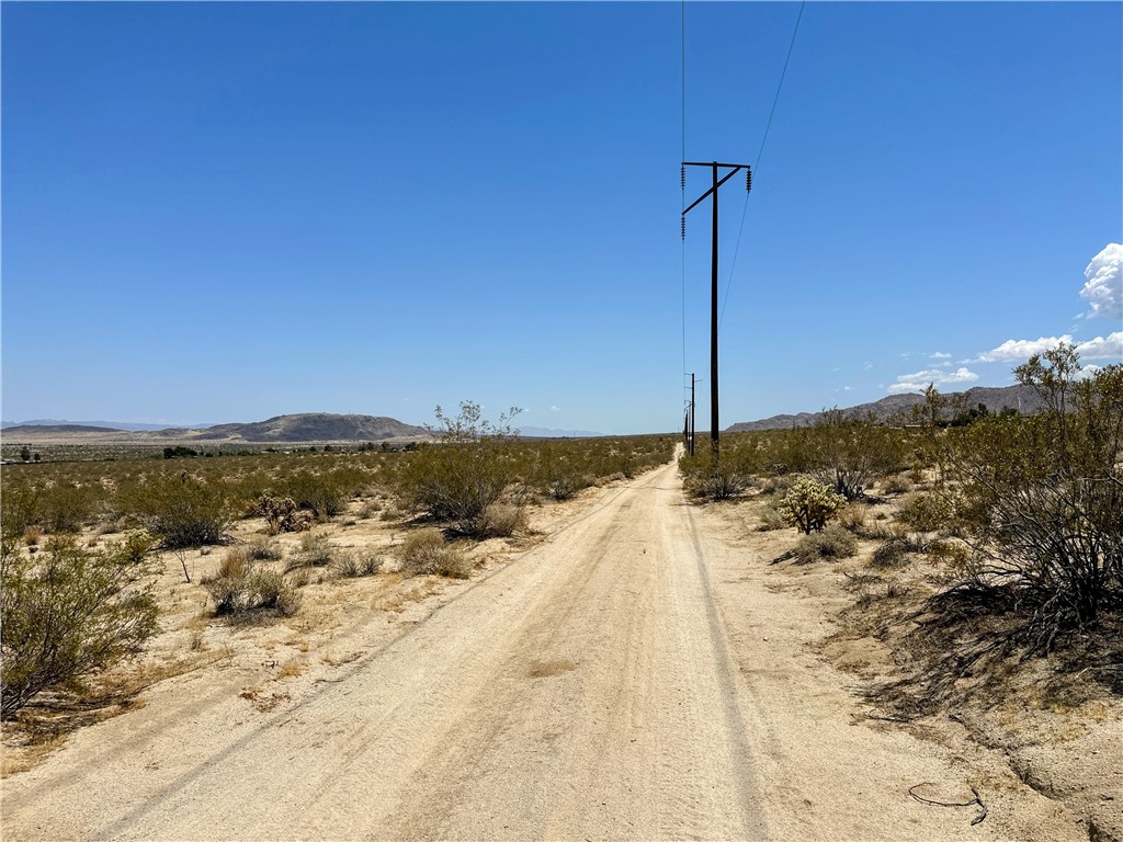 MLS #JT25127451 image #8