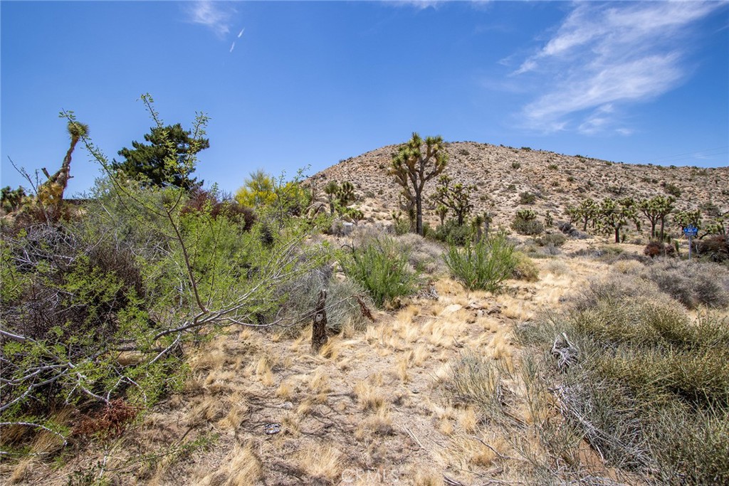 MLS #JT25127502 image #13