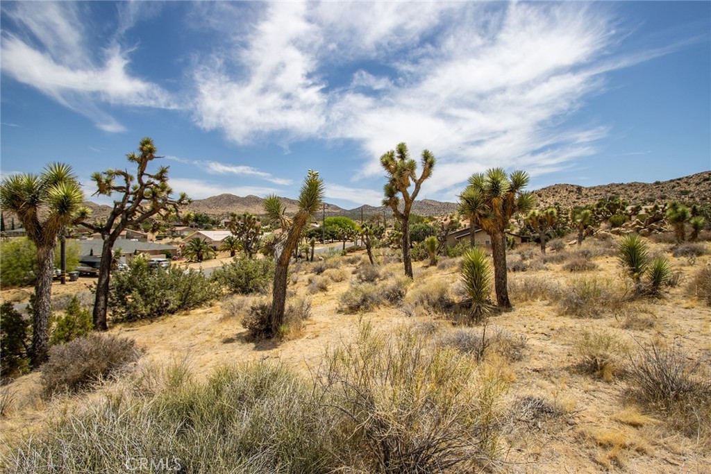 MLS #JT25127502 image #7