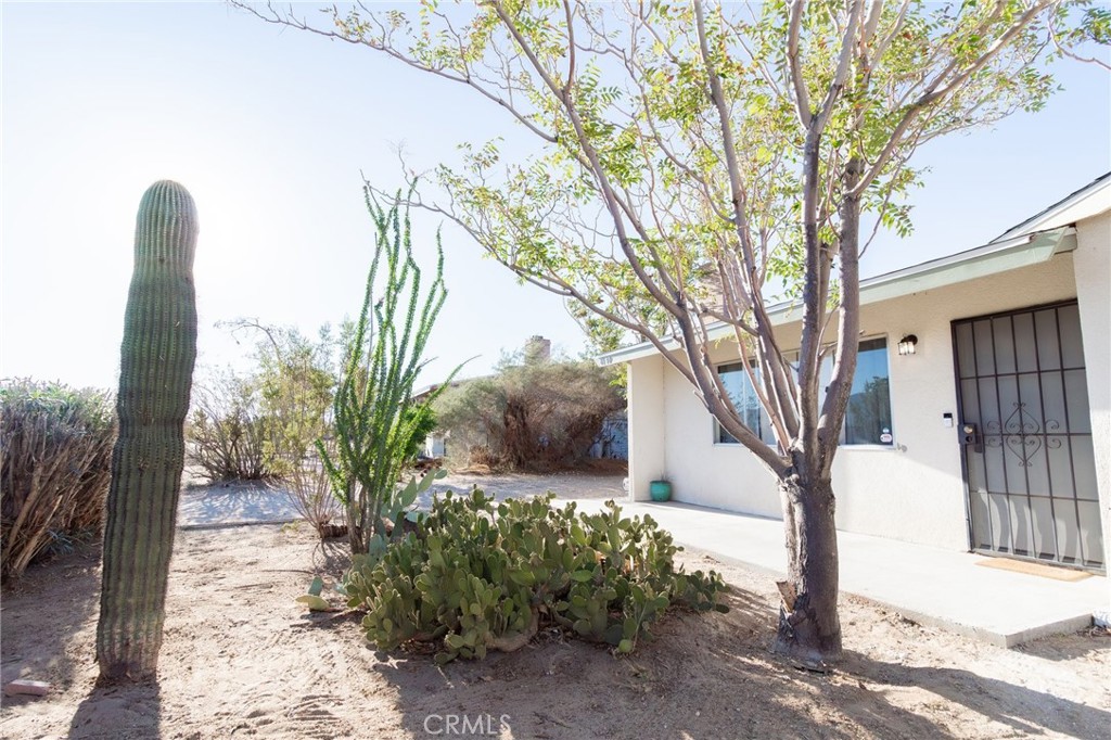 MLS #JT25127981 image #36