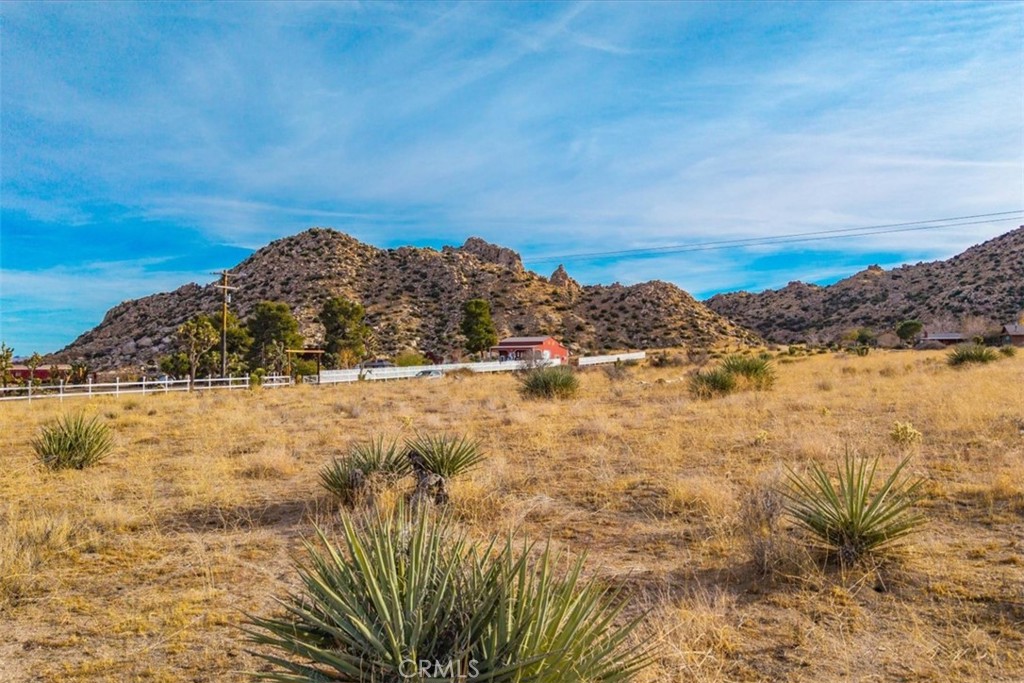 MLS #JT25130133 image #3