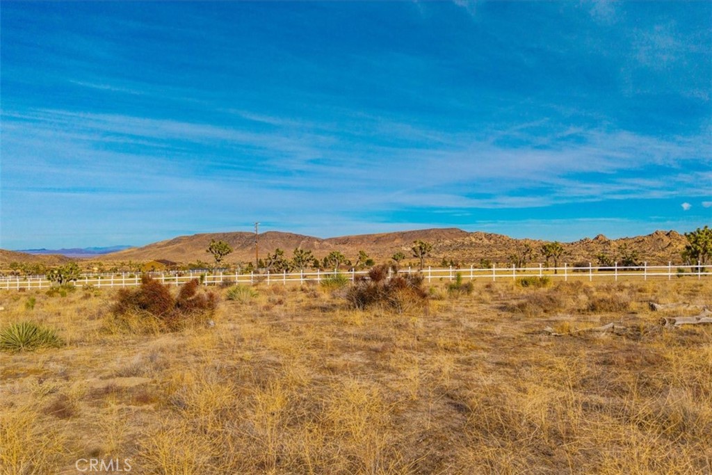 MLS #JT25130133 image #5