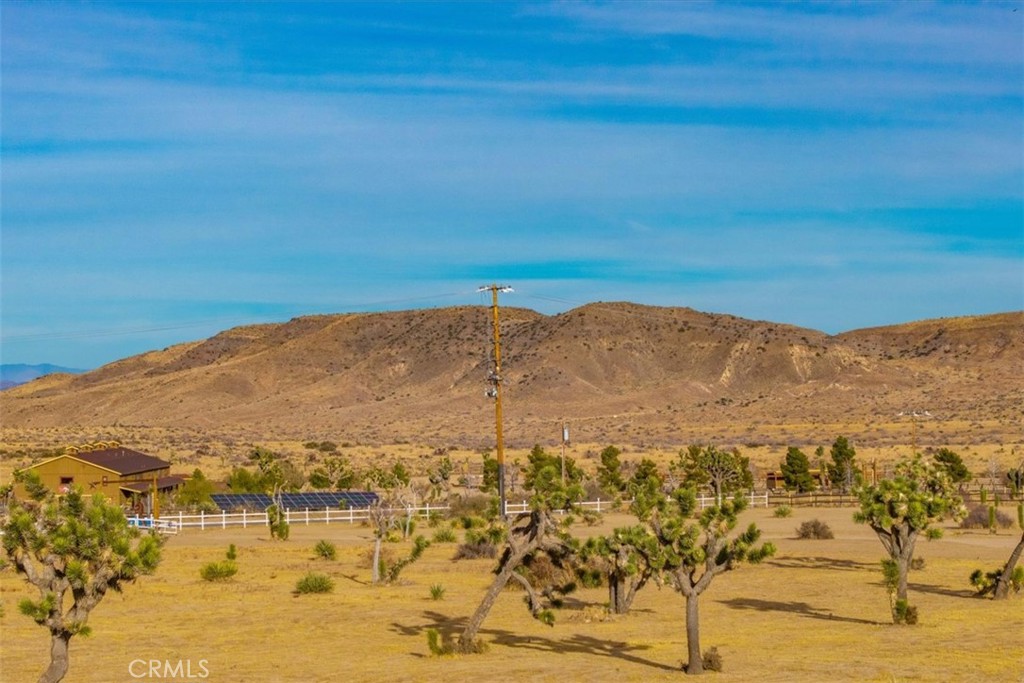 MLS #JT25130184 image #12