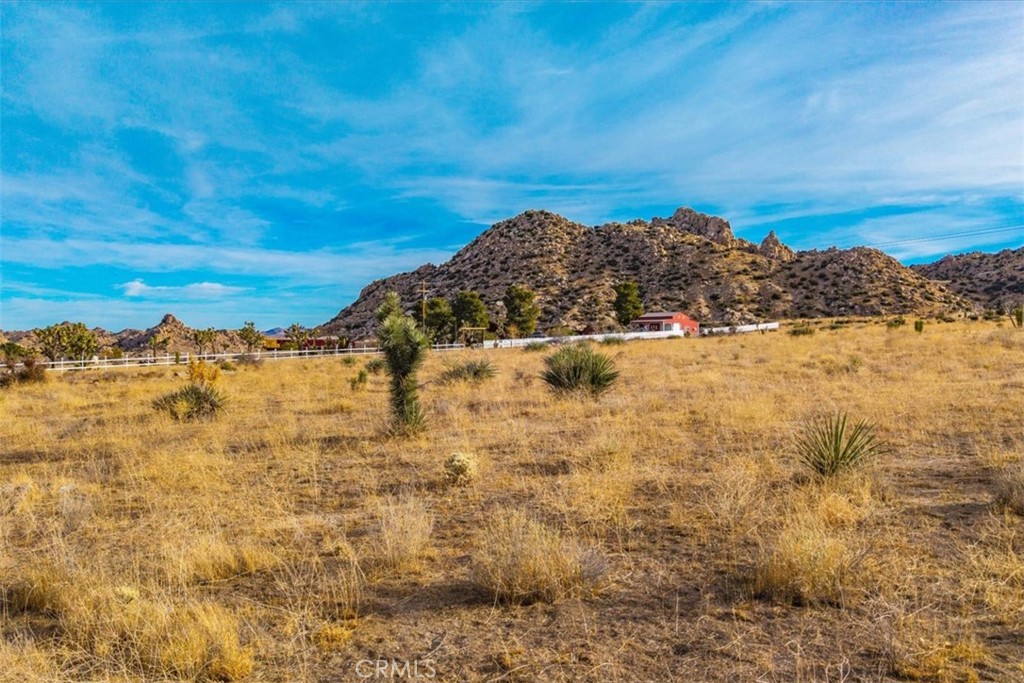 MLS #JT25130184 image #4