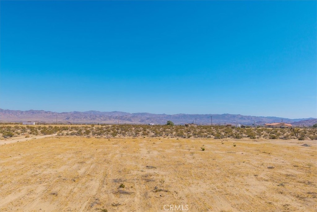 MLS #JT25131407 image #16