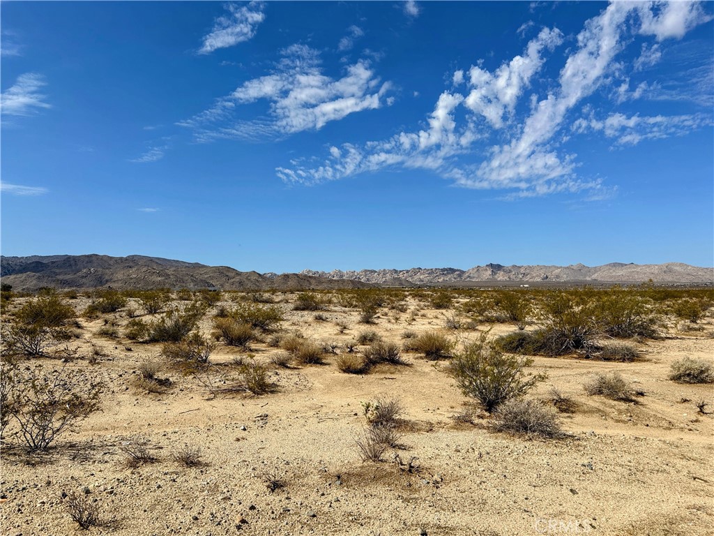 MLS #JT25131781 image #0